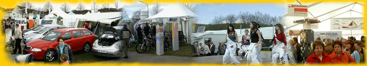 Information zum Gewerbemarkt 2010